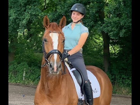 BENIRO 4j. v. Benicio - De Niro VB 15.000,- Euro