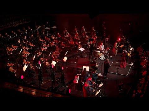 The Cat Empire - Devil (Live at Sydney Opera House) (Official Live Video)