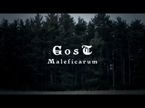 GosT - 