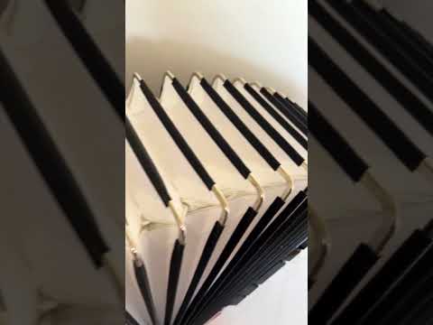 NEW Weltmeister Saphir Red Piano Accordion, made in Germany, 120 Bass buttons, Full-size Keyboard Accordian, incl. Straps and Case, Item Location USA image 10