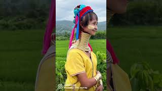 Download lagu 1 day in Chiang Mai, Thailand. Get lost in the misty mountains of Chiang Mai of Mae Wang district mp3 Download lagu 1 day in Chiang Mai, Thailand. Get lost in the misty mountains of Chiang Mai of Mae Wang district mp3
