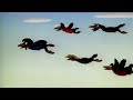 Closing To Dumbo 1989 VHS