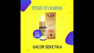 Download lagu Vitamin Burung Gacor Cocok Untuk Semua Jenis Burung - 3 Tetes Langsung Reaksi mp3