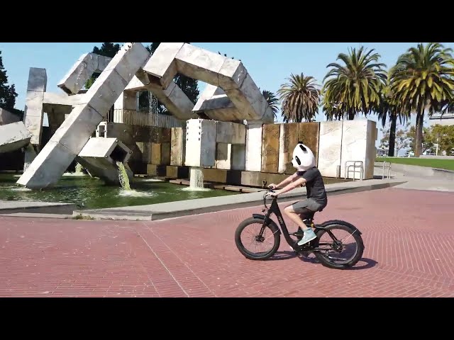 Ridepanda product / service