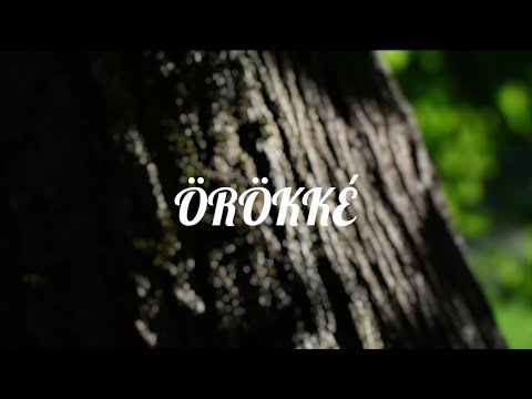 D.R.A.P - ÖRÖKKÉ (official music video)