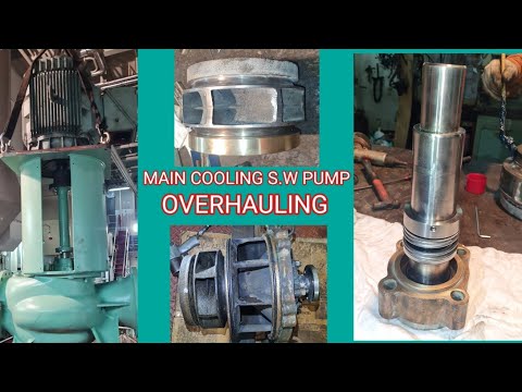 [Complete] Ship's Main cooling seawater pump #marineengineer #pump #centrifugalpump