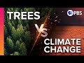 Trees vs. climate change for Arbor Day, a Flashback Friday holiday
special