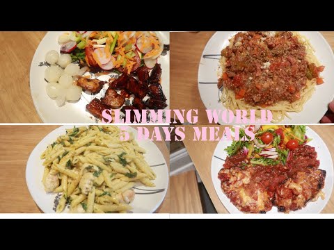 SLIMMING WORLD 5 DAY MEALS