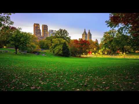 Ana Caravelle - Where Have You Been (Take Remix) HD