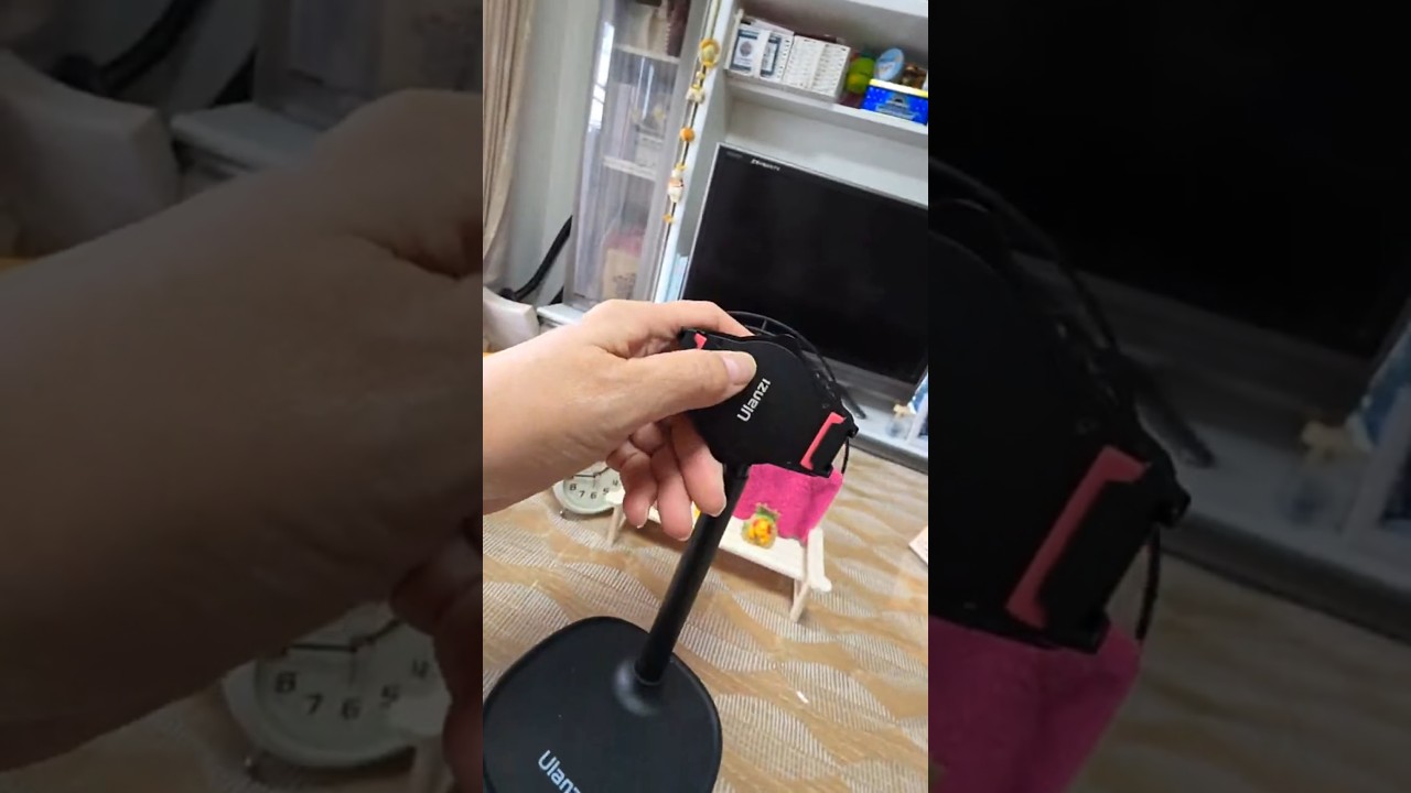 ライブ ハイライト