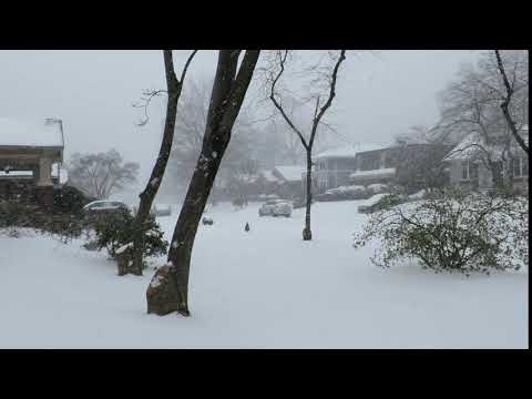 2021: Snow in Memphis