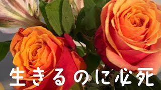 1日が頭痛で始まる、アメリカでの妊娠初期🤦♀️