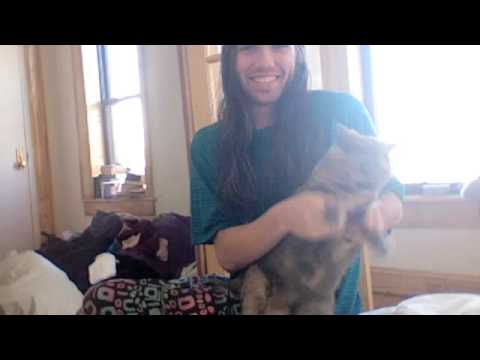 isadora:  dancing with cats