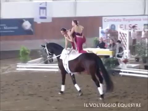 CVI Portogruaro 2016 - Volteggio - Pdd 2*J - 2°Horn/Groller-Germania