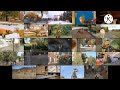 Dino Dan Credits All 24 Episodes At The Same Time