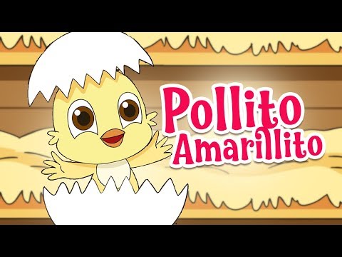 Mi Pollito Amarillito  |  Canciones infantiles de la granja  |  Vídeos infantiles dela granja
