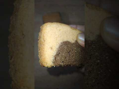 കഴിച്ചോ 🥺🥰 #shorts #cooking #foodie #foodlover