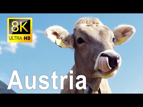8K Austria Drone Video in Ultra HD HDR with Amazing Mountains and Landscapes