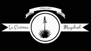 Tex Perkins, Don Walker &amp; Charlie Owen - Jails