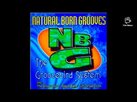 Groovebird -Natural Born Grooves