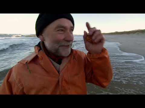 Frühmorgens in den Bernsteinwellen von Nida