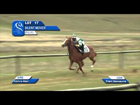 CTS JHB RTR 2014 LOT 017