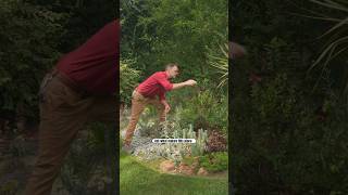 A GARDEN 100 Years In the Making: Hedgleigh Spring #garden