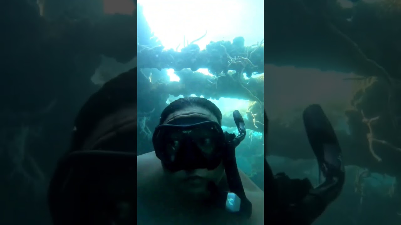 YouTube Short thumbnail