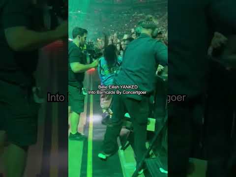 Billie Eilish Gets DRAGGED By Fan At Concert