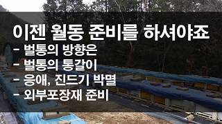 이젠 월동준비를 해야죠, 벌통의 방향, 스치로폼 벌통, 외부포장 준비