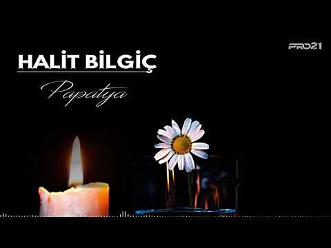 Halit Bilgiç - PAPATYA