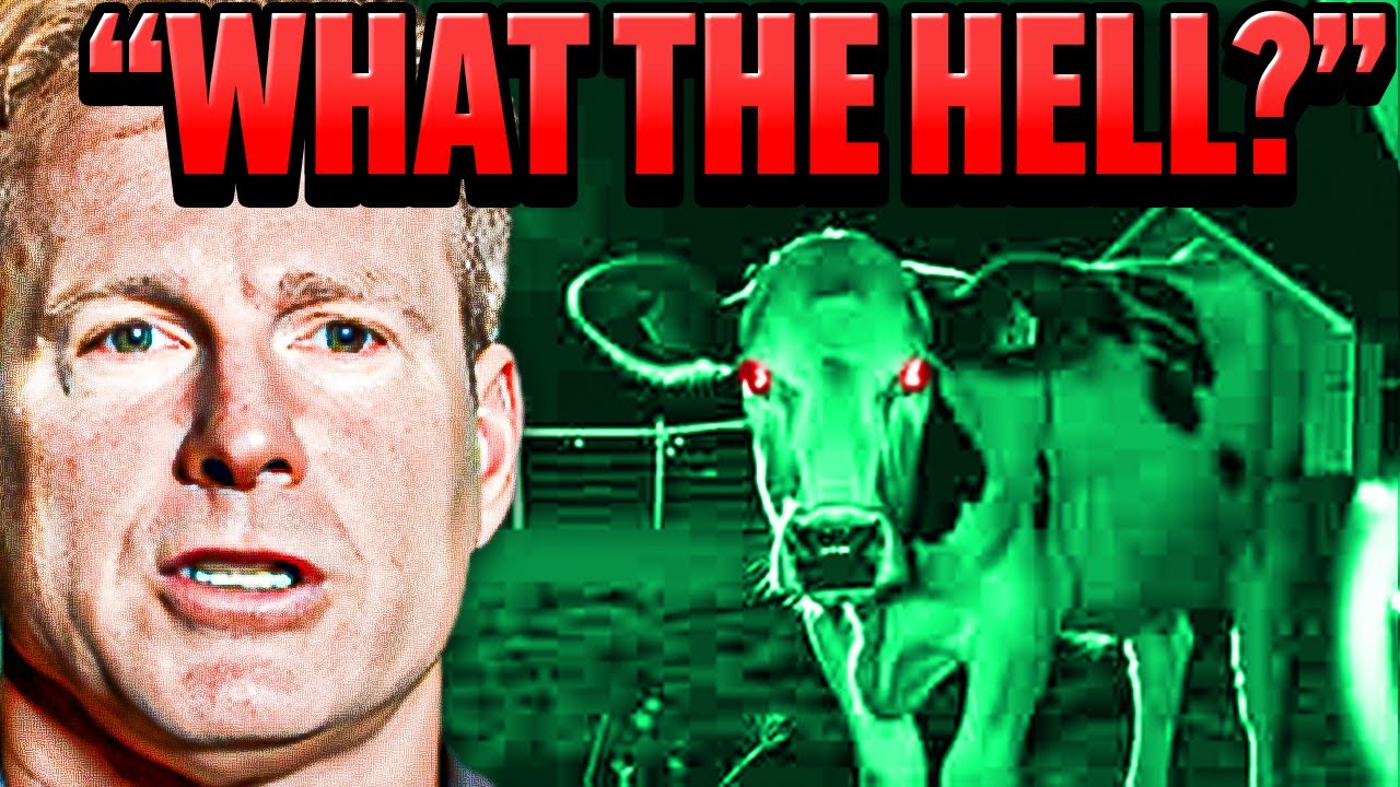 Thumbnail Download HD Thumbnail (1280x720)