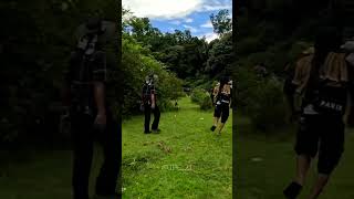 Download lagu Babi hutan besar melintas di depan pemburu #shorts mp3 Download lagu Babi hutan besar melintas di depan pemburu #shorts mp3