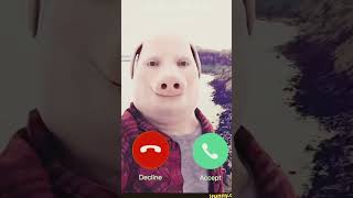 Download lagu Porky boy calling 👦 mp3