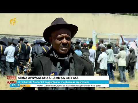 Sirna Awwaalchaa Artiist Lammaa Guyyaa