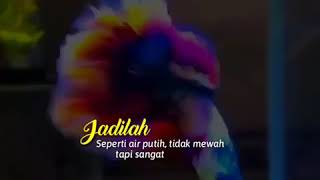 Download lagu Story whatshap quotes ikan cupang manisee mp3