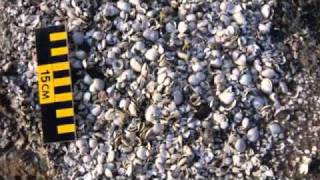 Bernard Herrmann - Journey to the Center of the Earth