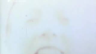 Barbara Morgenstern - Antonelli (Very Rare Video)