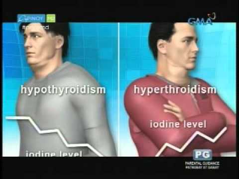 Slimming may mini listata Pagbaba ng pagkalkula para sa calculator pagbaba ng timbang online