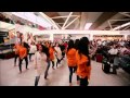 SpiceJet Holi Flashmob 2015 At Delhi Airport