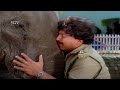Vishnuvardhan Angrily Hits Elephant Without Knowing The Truth Jayasimha Kannada Movie Part 6