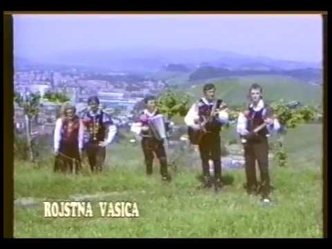 ANSAMBEL TONETA ČUČKA-ROJSTNA VASICA.wmv