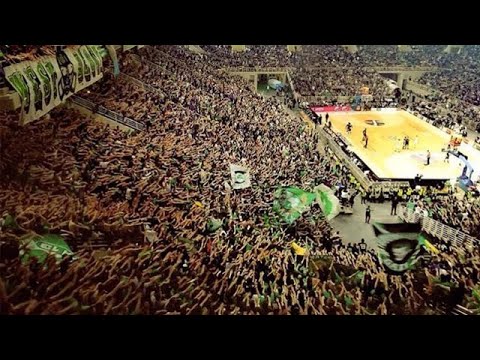 Fevernova and Fevernova Groundhopping