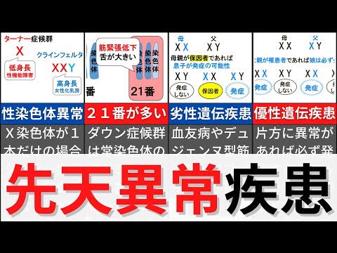 ヒト 13 番染色体について詳しく解説
