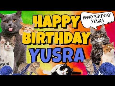 Happy Birthday Yusra! Crazy Cats Say Happy Birthday Yusra (Very Funny)