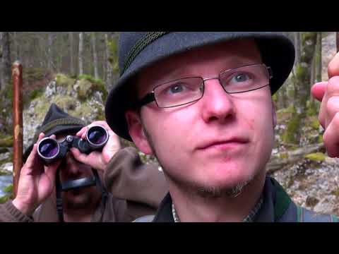 Der Berufsjäger   Die Jagd im Gesäuse