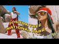 Traveling To Joshua Tree For The First Time Mscrisssy