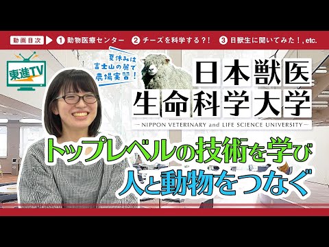 コンピュータ理工学科 【日本獣医生命科学大学】人と動物のいのちを支える〜獣医療とバイオサイエンスで社会に貢献〜