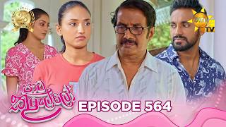 Paata Kurullo - පාට කුරුල්ලෝ | Episode 564 | 2026-07-08 | Hiru TV preview image