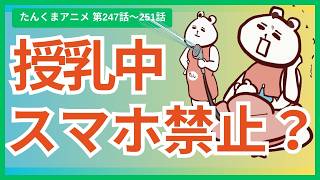 【たんくま】第247話～251話｜夜泣き、授乳、育児アプリの日々